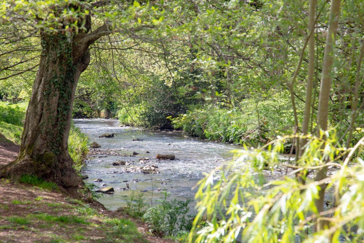 Orchard Cottage Sidmouth Esterno foto